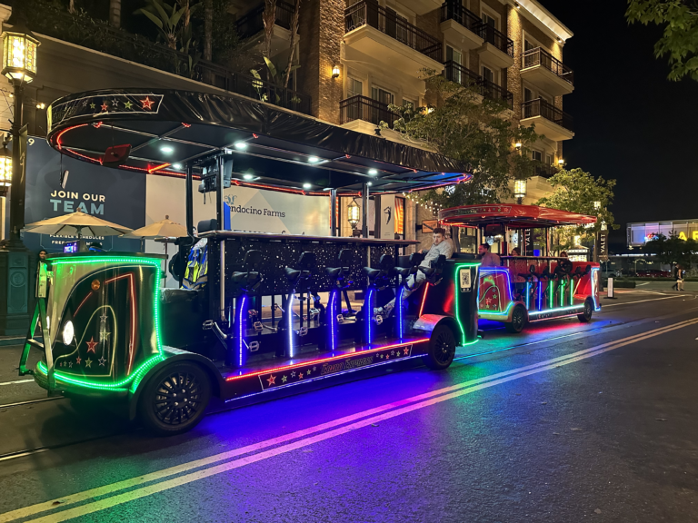 Party bike Night
