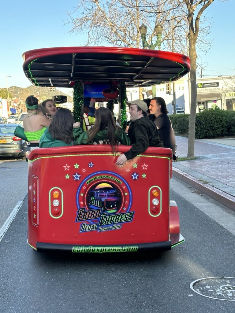 Party bike